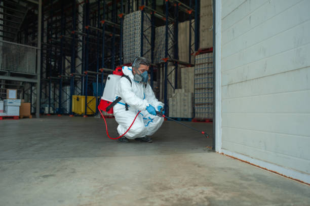 Indoor Pest Control in Robie Creek, ID